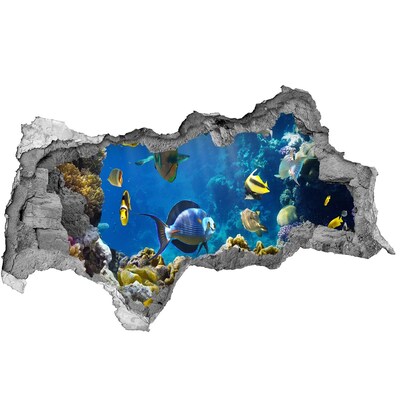 Fototapeta díra na zeď Podvodní svět korálového útesu