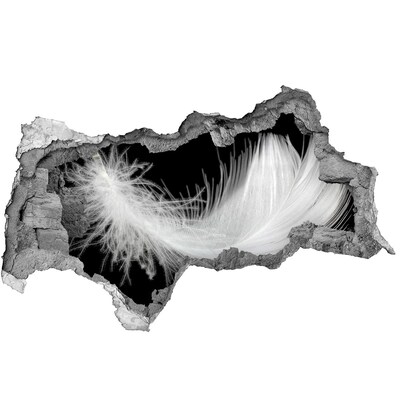 Fototapeta díra na zeď Pírko v díře ve zdi