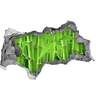 Samolepící nálepka fototapeta Zelený bambusový les