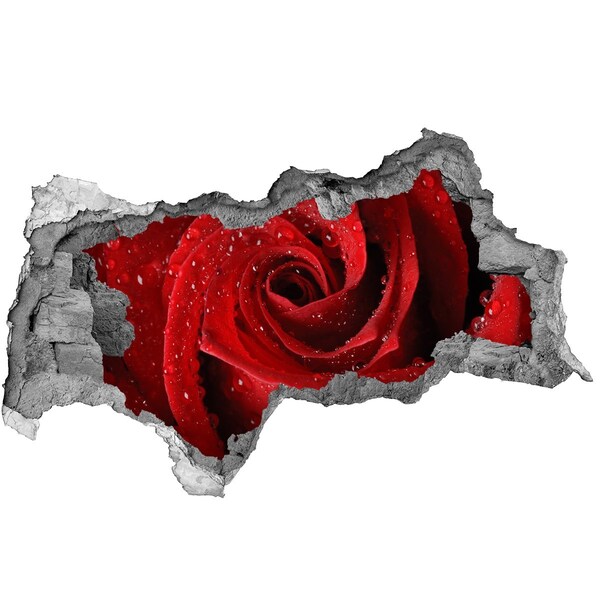 Samolepící nálepka na zeď Květina v betonu