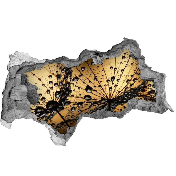 Samolepící nálepka na zeď Kapky na listech