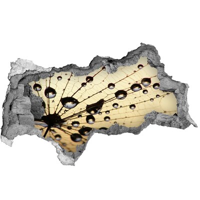 Samolepící nálepka Kapky vody na motýlím křídle