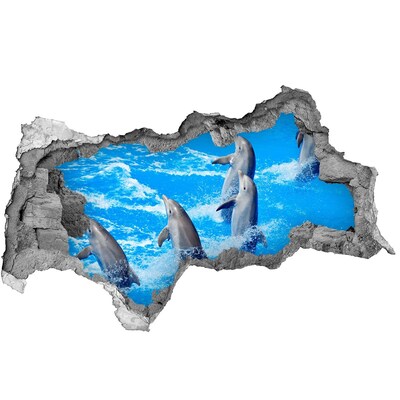 Díra 3D fototapeta na stěnu nálepka Delfíni