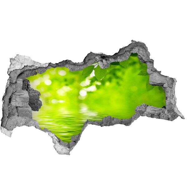 Samolepící nálepka na zeď Zelená oáza s vodou