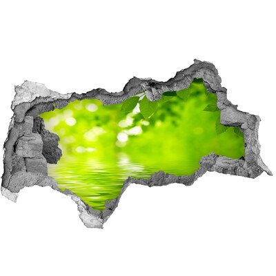 Samolepící nálepka na zeď Zelená oáza s vodou