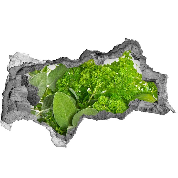 Nálepka 3D díra Zelená oáza v betonu