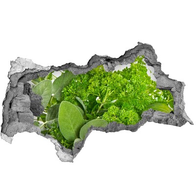 Nálepka 3D díra Zelená oáza v betonu