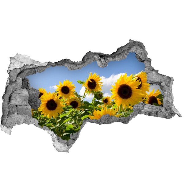 Samolepící nálepka fototapeta Slunečnice za denního světla