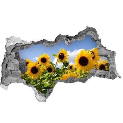 Samolepící nálepka fototapeta Slunečnice za denního světla