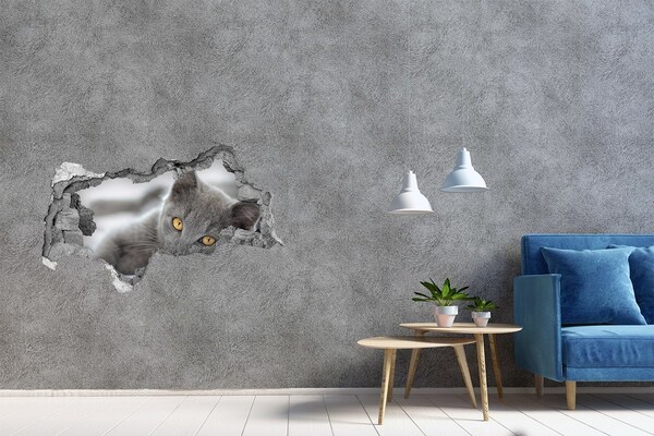 Díra 3D fototapeta nálepka Šedá kočka v díře ve zdi
