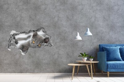 Díra 3D fototapeta nálepka Šedá kočka v díře ve zdi
