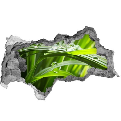 Fototapeta nálepka na zeď Zelená louka s kapkami vody