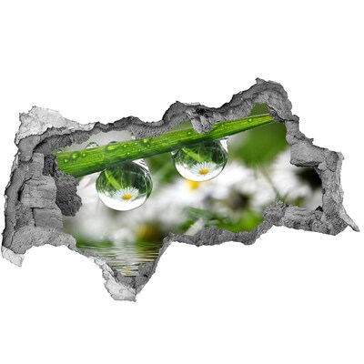 Samolepící díra nálepka Květinová oáza s kapkami vody