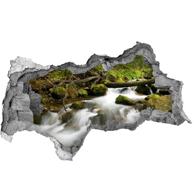 Díra 3D ve zdi nálepka Zelený potok v lese