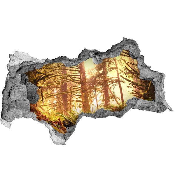 Díra 3D ve zdi nálepka Lesní oáza zalitá sluncem