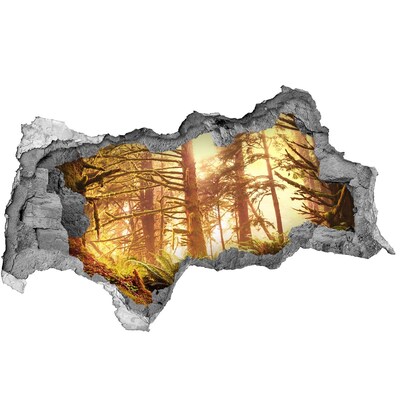 Díra 3D ve zdi nálepka Lesní oáza zalitá sluncem