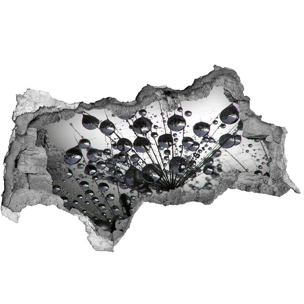 Samolepící díra nálepka Kapky vody na pampelišce