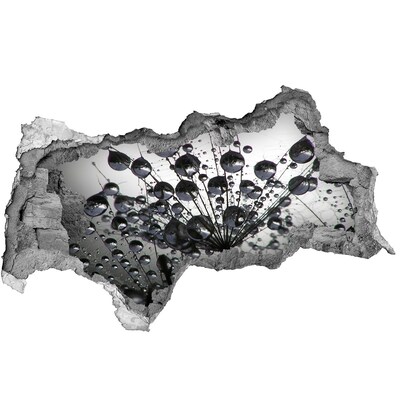 Samolepící díra nálepka Kapky vody na pampelišce