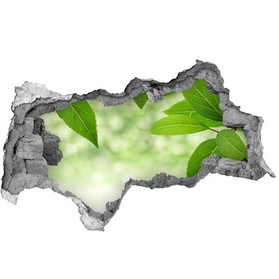 Samolepící díra nálepka Zelená oáza v betonu