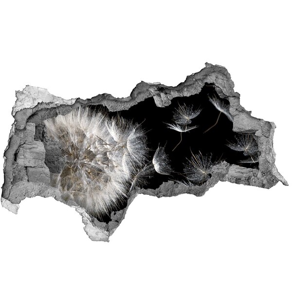 Samolepící díra na stěnu Pampelišky v černém prostoru