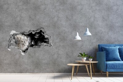 Samolepící díra na stěnu Pampelišky v černém prostoru