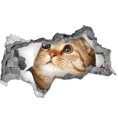 Díra 3D fototapeta na stěnu nálepka Kočka