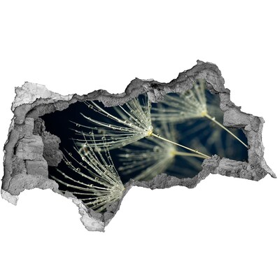 Samolepící díra nálepka Květy pampelišky ve vodě