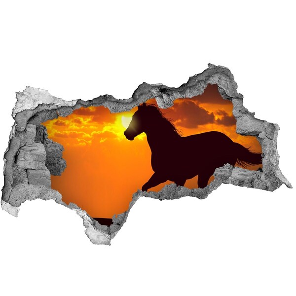 Díra 3D fototapeta na stěnu Kůň při západu slunce