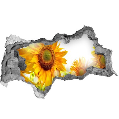 Samolepící díra nálepka Květinový sen za zdí