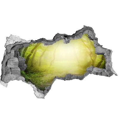 Samolepící díra nálepka Zelený les v paprscích slunce