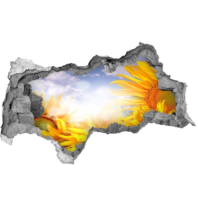 Samolepící díra nálepka Slunečnice ve slunečním světle