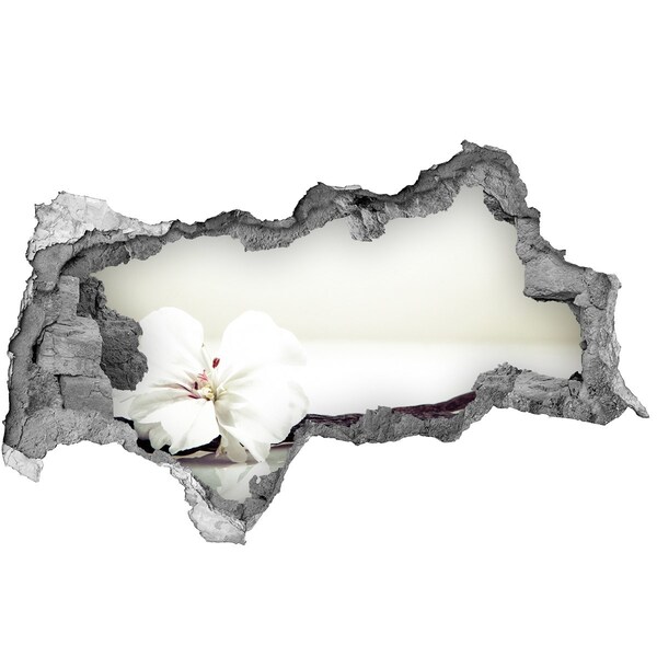 Samolepící díra nálepka Květinový pohled skrz zeď