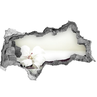 Samolepící díra nálepka Květinový pohled skrz zeď