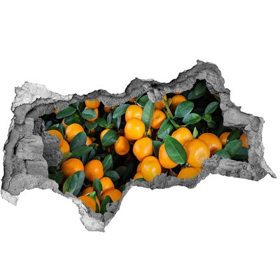 Nálepka 3D díra beton Ovoce v pomerančové zahradě