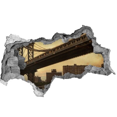 Fototapeta díra na zeď 3D Newyorský most
