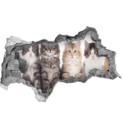 Díra 3D fototapeta nálepka Šest koček
