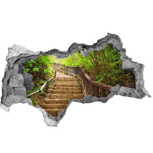 Nálepka fototapeta 3D výhled Lesní cesta v horách