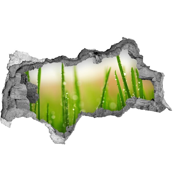 Samolepící díra na stěnu nálepka Zelená louka s kapkami vody