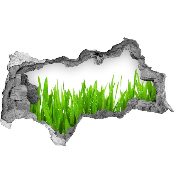 Samolepící díra nálepka beton Zelená louka skrz díru ve zdi