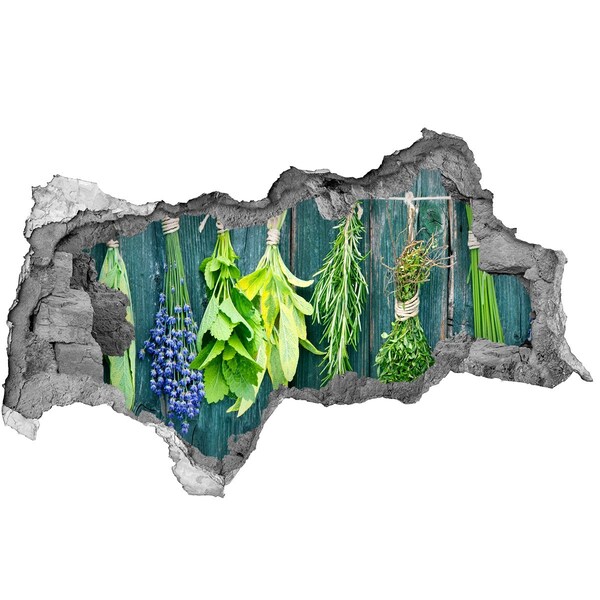 Nálepka 3D díra Bylinková zahrádka v kuchyni