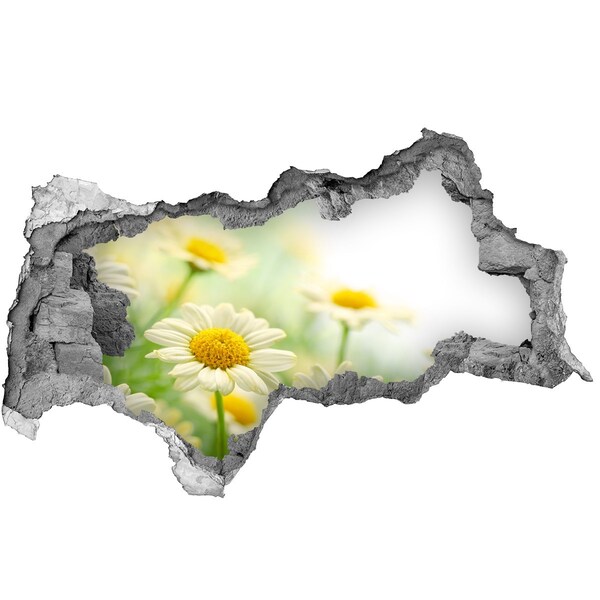 Samolepící díra nálepka Květinový ráj za zdí