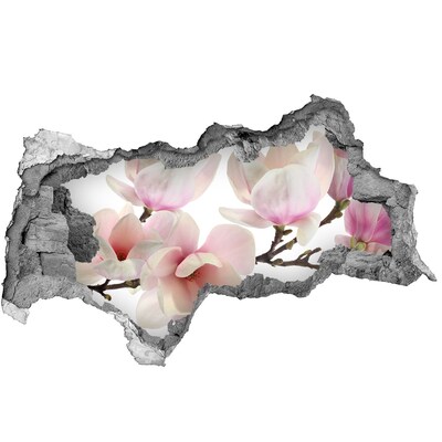 Samolepící díra nálepka Květy magnólie skrz díru ve zdi