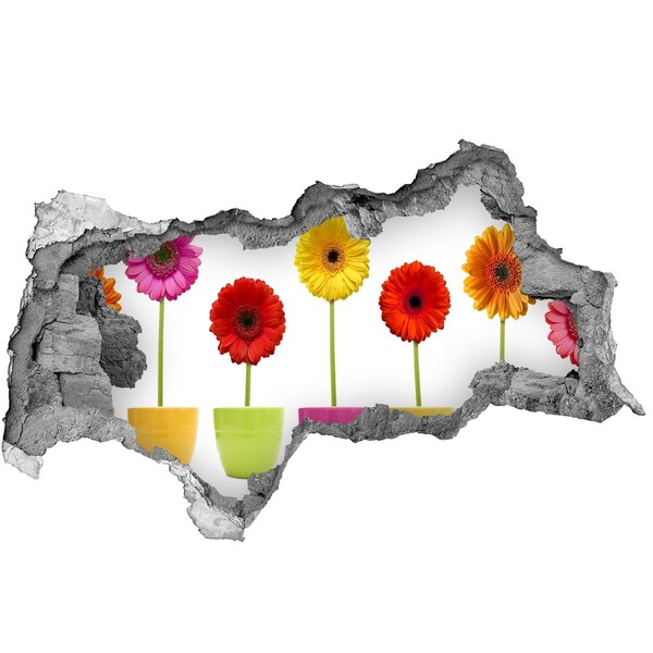 Samolepící díra na stěnu Květiny v květináčích skrz díru ve zdi