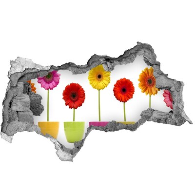 Samolepící díra na stěnu Květiny v květináčích skrz díru ve zdi