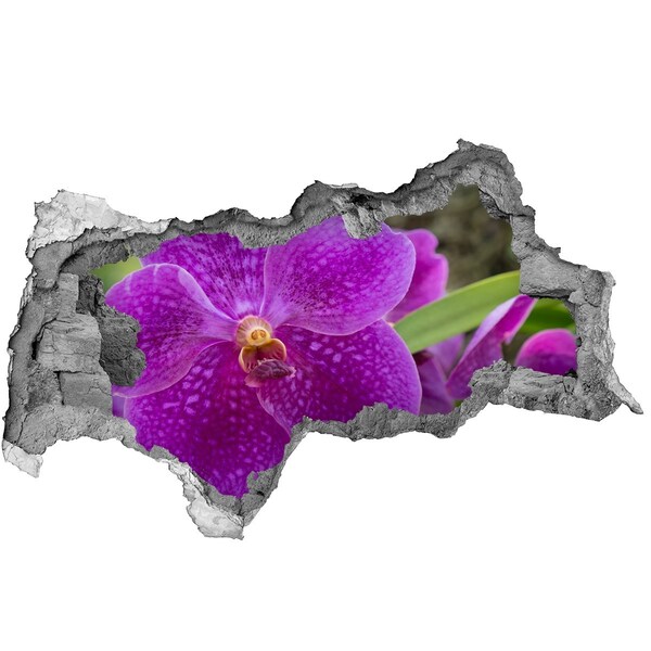 Samolepící díra nálepka Orchidej