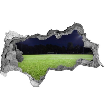 Fototapeta díra na zeď 3D Fotbalové hřiště