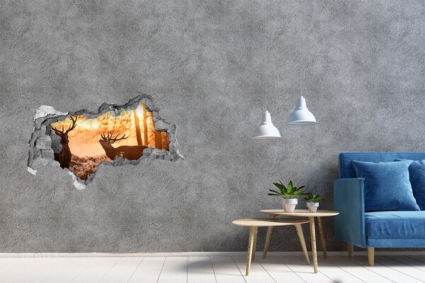 Díra 3D fototapeta nálepka Východ slunce v lese