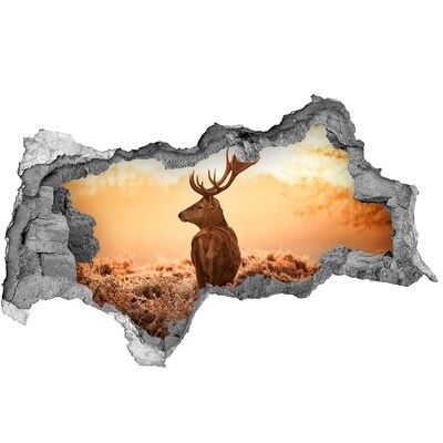 Díra 3D fototapeta na stěnu Jelen východ slunce