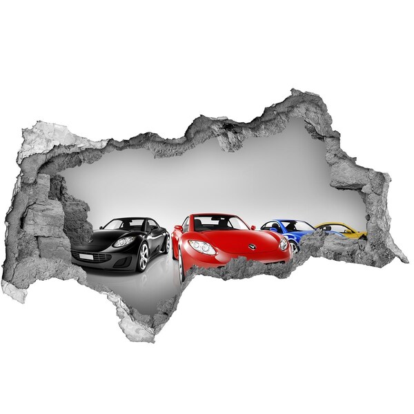 Foto fotografie díra na zeď Závodní sny