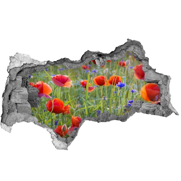 Samolepící díra na stěnu Květinový ráj za zdí